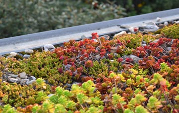 the cost of Hampton Beech green roof installation