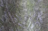 Hampton Beech fibreglass roof work