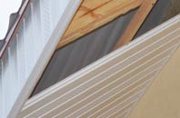 rated Hampton Beech soffit repair companies